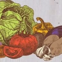 Il Giardino Della Frutta Di Tozzi Patrizia