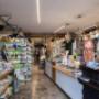 Gallery Professionale