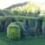 Albergo con Giardino