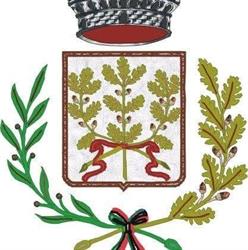 Comune Di Campolongo Maggiore