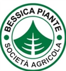 Bessica Piante Agricola Di Marchesan Matteo E Achi