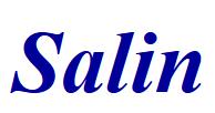 Giuseppe Salin S.r.l. Fax Rappresentanze Termotecnica