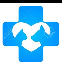 La Fenice Ambulatorio Medico Veterinario