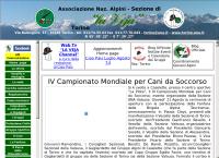 Associazione Nazionale Alpini Sezione Di Torino