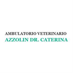 Ambulatorio Veterinario Azzolin Dr. Caterina