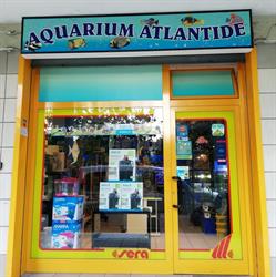 Acquario Aquarium Atlantide