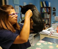 Ambulatorio Veterinario Dott.Ssa Lorella Cau