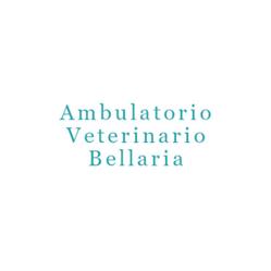 Ambulatorio Veterinario Bellaria