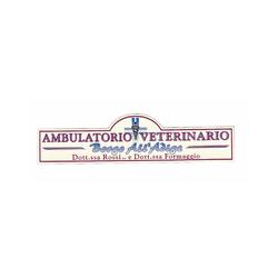 Ambulatorio Veterinario Borgo all'Adige