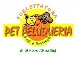 Toelettatura Pet Peluqueria Belli e Pettinati Di Ghisellini Miriam