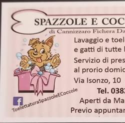 Spazzole E Coccole Di Cannizzaro Fichera Daniele Toelettatura Per Animali
