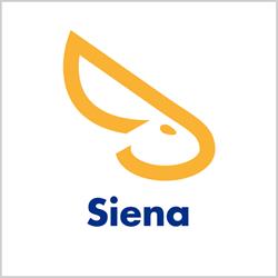 Agenzia Immobiliare Solo Affitti