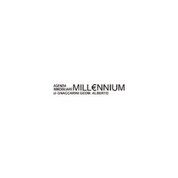 Immobiliare Millennium