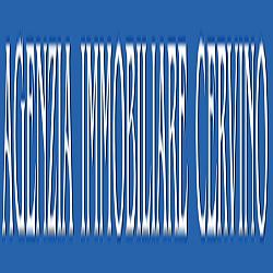 Agenzia Immobiliare Cervino