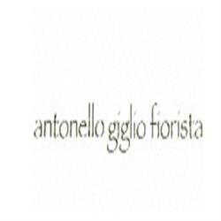 Fiorista Antonello Giglio