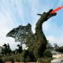 Siepe Fatta a Drago