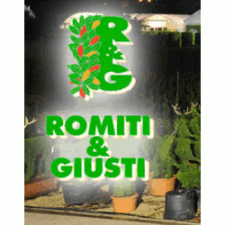 Società Agricola Romiti e Giusti S.S.