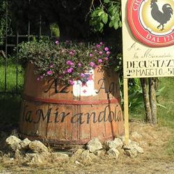 Azienda Agricola La Mirandola Di Scala Lorenzo