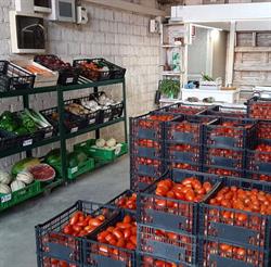 Azienda Agricola Ortofrutticola Faverato Società Agricola