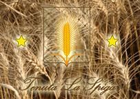 Tenuta La Spiga Società Agricola S. S.