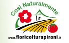 Floricoltura Pironi Società Semplice Florovivaismo