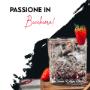 Gallery Professionale
