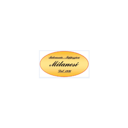 Milanesi Davide