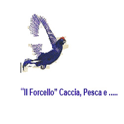 Armeria "Il Forcello"