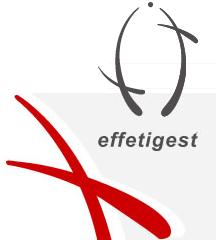 Effeti Gest S.r.l. Commercio Tessuti Pellami