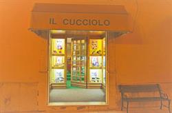 Il Cucciolo Di Ruggieri Diana