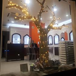 Ottica Bezzecchi Di M.B. & C.Snc