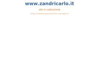 Carlo Zandri Sasa Assicurazioni Sasa Assicurazioni Vita