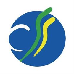 Centro Studi e Servizi Srl - Sede di Alessandria