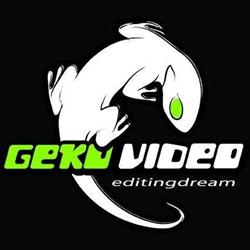 Geko Video Di Maiocco Federico