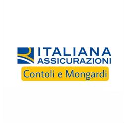 Assicurazione Italiana Contoli & Mongardi
