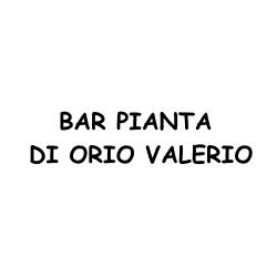 Bar Pianta