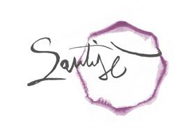 Ristorante Santisè Cucina Piemontese Contemporanea Ristorante