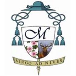 Parrocchia Madonna della Neve