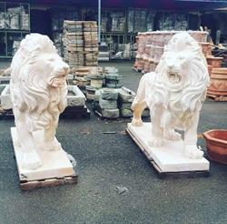 Mercatino dell' Usato & Antiquariato Portobello New Sas