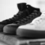 Gallery Professionale