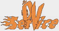 Pv Service Di Violino Manuela