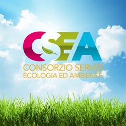Consorzio Servizi Ecologia Ambiente