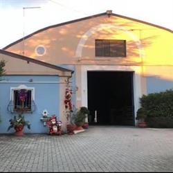 Costantini Antonio Legnami SRL
