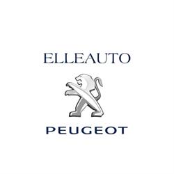 Elleauto Concessionaria Evo S.r.l.