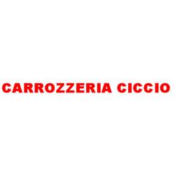 Autocarrozzeria Ciccio di Tavernelli  David