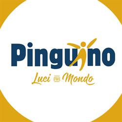 Pinguino Viaggi - Luci sul mondo