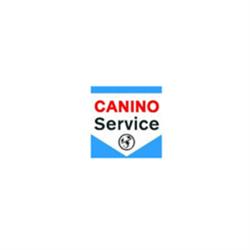 Specialty Motors By Canino