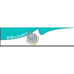 Biemmegi