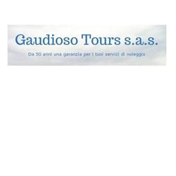 Gaudioso Group s.r.l.