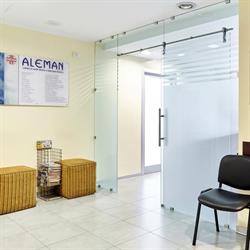 Aleman S.r.l.